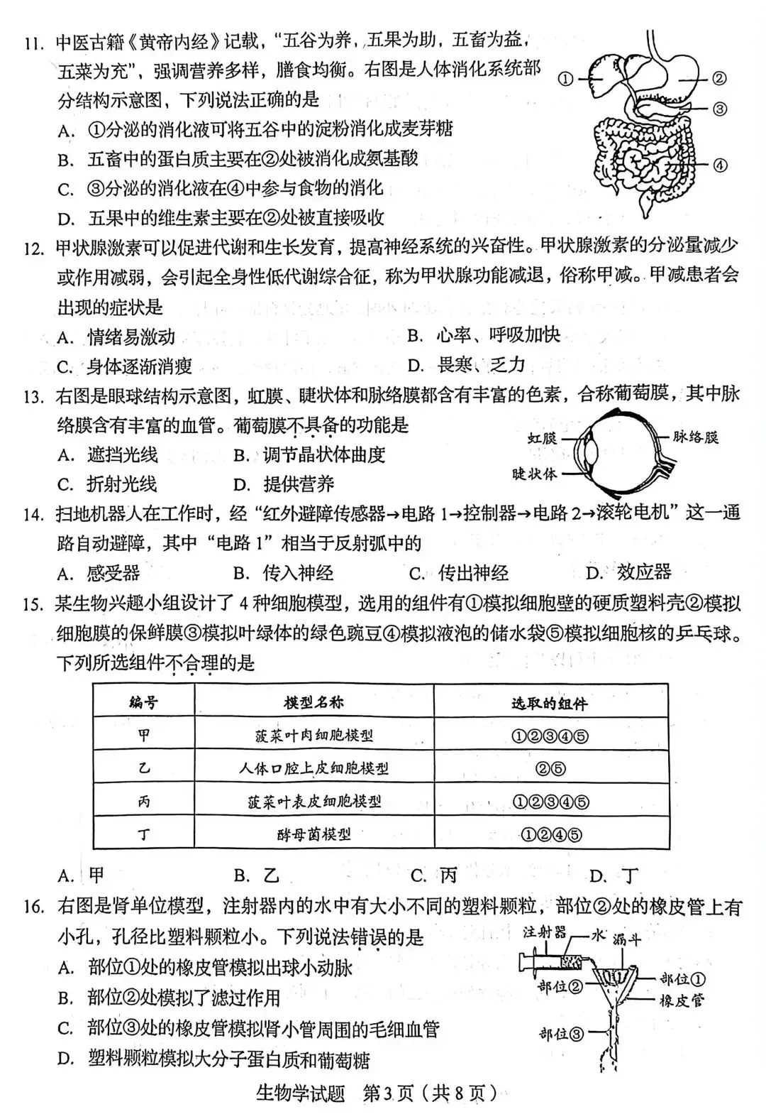 2026年山东中考统考英语、历史、地理、生物样卷 | PDF下载版 第31张