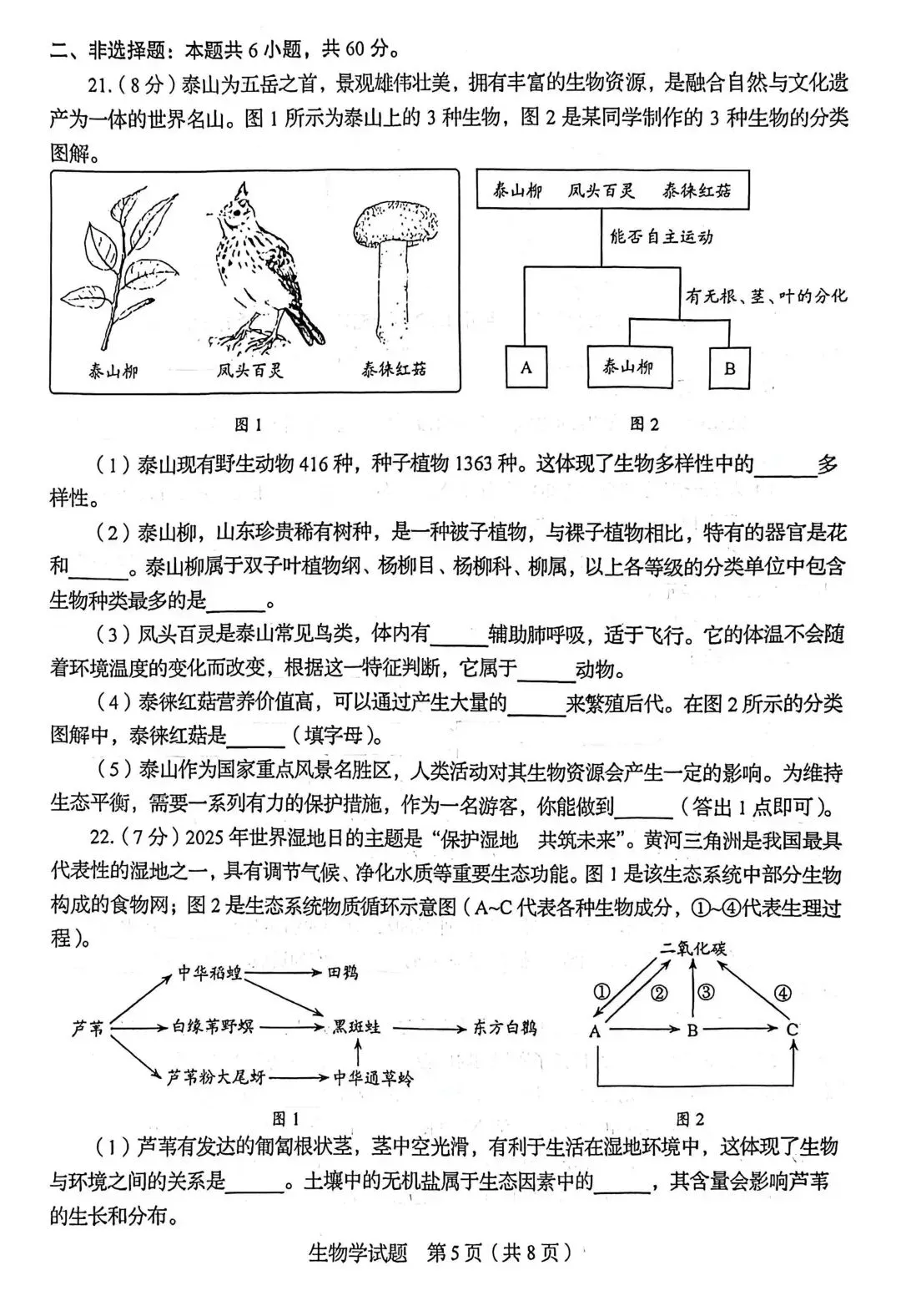 2026年山东中考统考英语、历史、地理、生物样卷 | PDF下载版 第33张