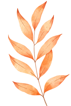 初三全日制中考冲刺班|中考提分关键期高效备考方案!初三全托班!基础弱、偏科、做题慢?初三全日制冲刺班针对性补漏! 第17张 初三全日制中考冲刺班|中考提分关键期高效备考方案!初三全托班!基础弱、偏科、做题慢?初三全日制冲刺班针对性补漏! 第17张