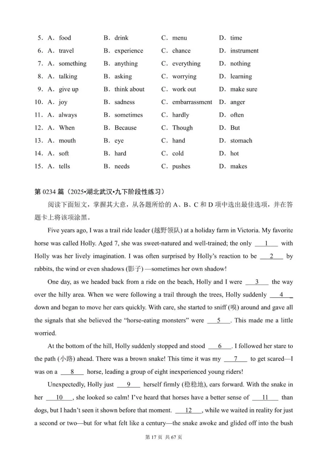 中考英语总复习:完形填空300篇(221~240)(适合九下考前练习,含答案解析,文末领取word完整版) 第17张 中考英语总复习:完形填空300篇(221~240)(适合九下考前练习,含答案解析,文末领取word完整版) 第17张