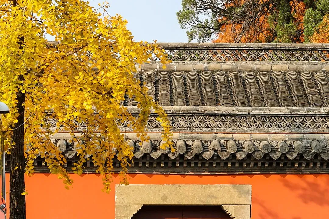 【A999道法】上海中考道法常见素材关键词转化术语 第13张