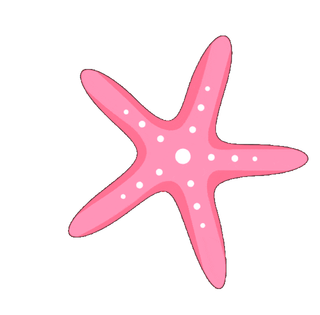 2026上海中考体育冲刺指南:科学训练助力寒假高效提分! 第4张