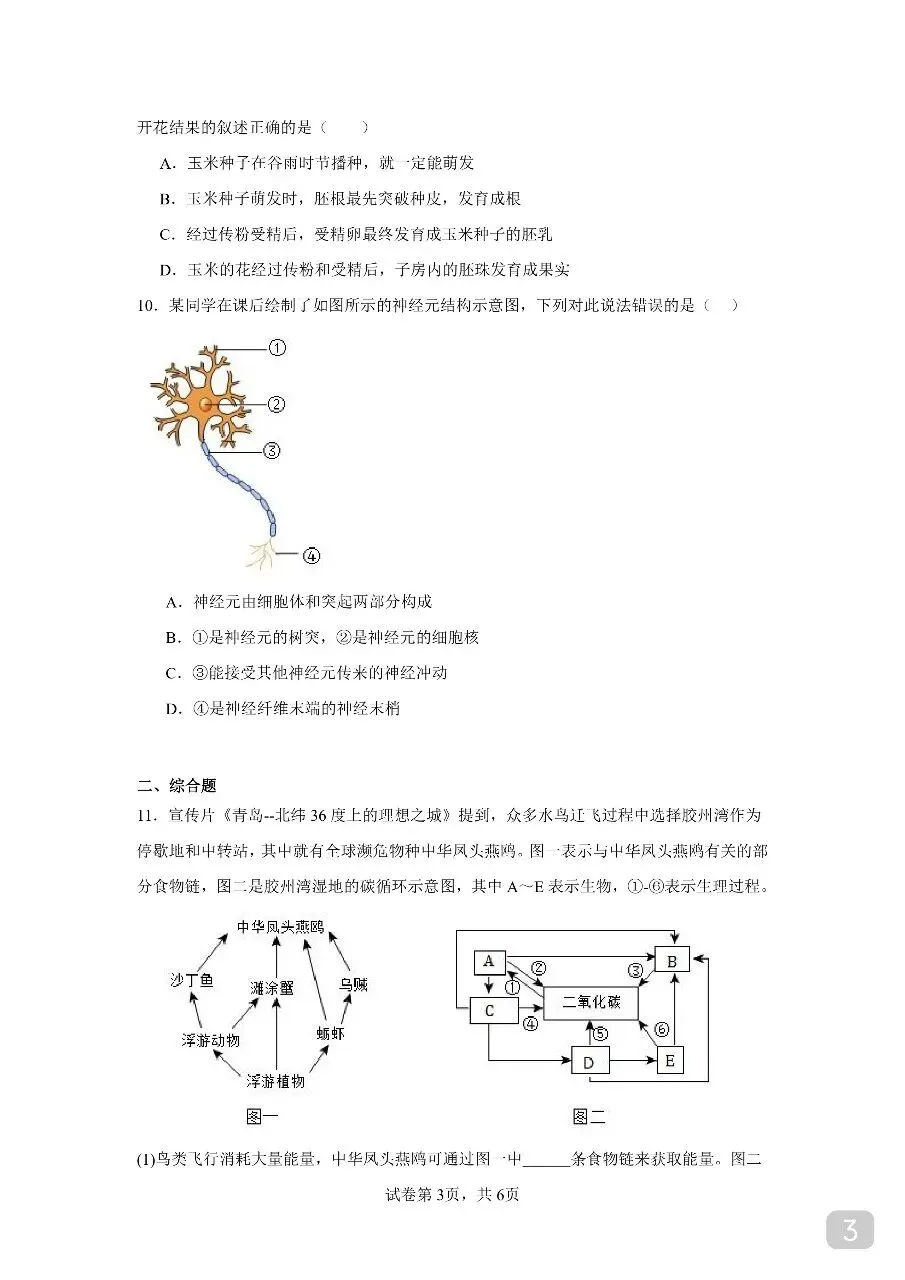 徐州市2026年中考生物模拟卷 第3张