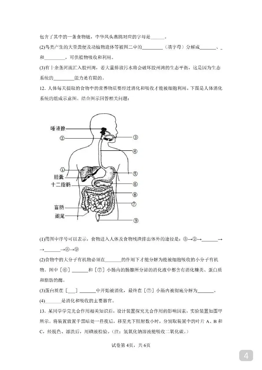徐州市2026年中考生物模拟卷 第4张