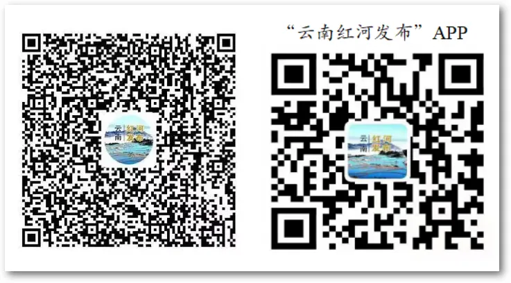 青春喜迎二十大·云岭青年逐梦录 | 从中考失利到世界冠军,云南“机器侠”来了! 第12张