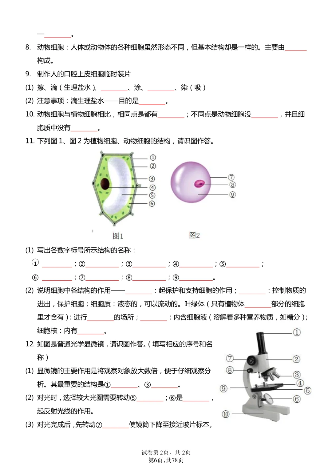 2026年最新版中考会考生物知识点18天过关练,文末有完整版可打印,学霸学习好帮手,建议家长打印! 第5张