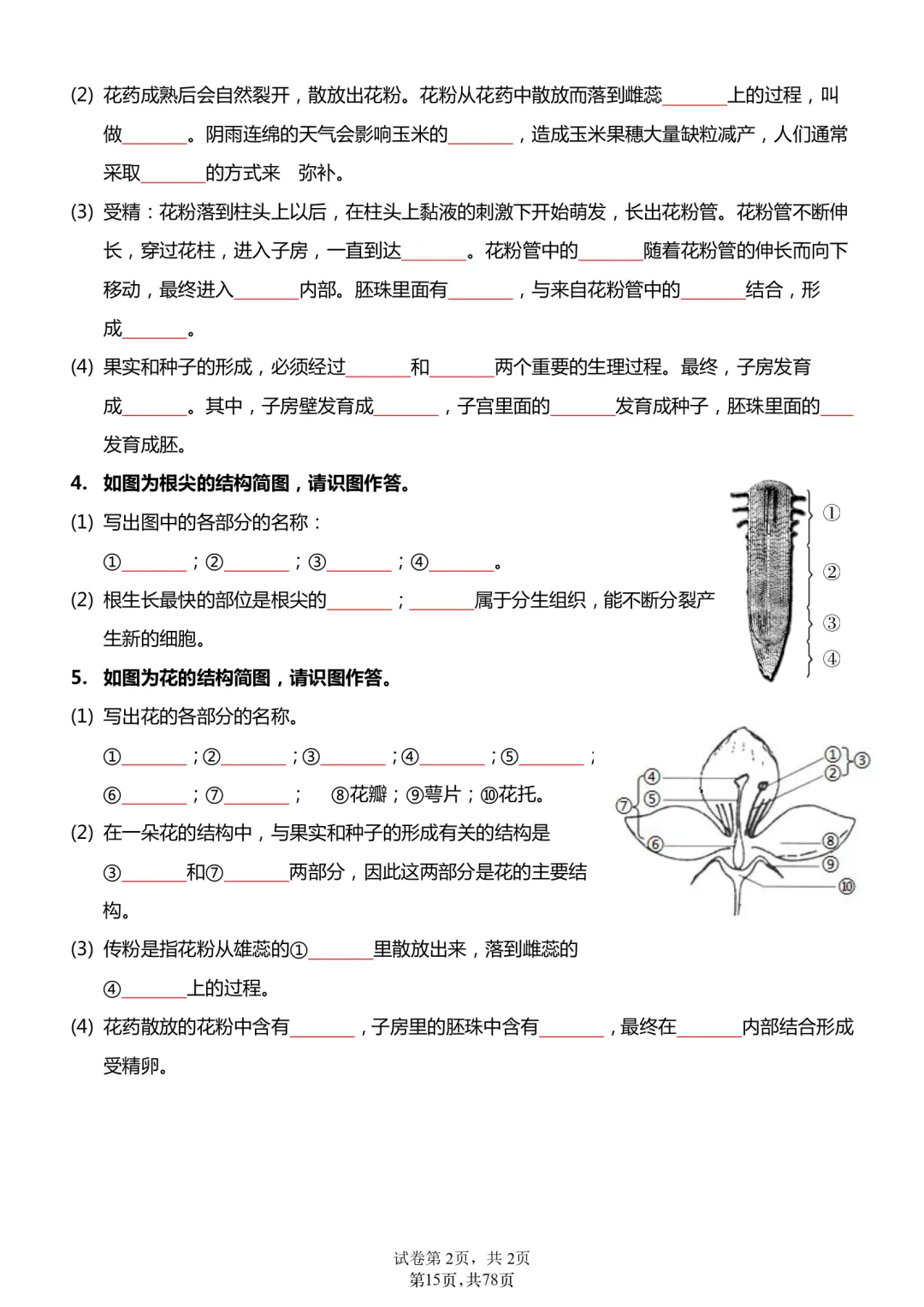 2026年最新版中考会考生物知识点18天过关练,文末有完整版可打印,学霸学习好帮手,建议家长打印! 第11张