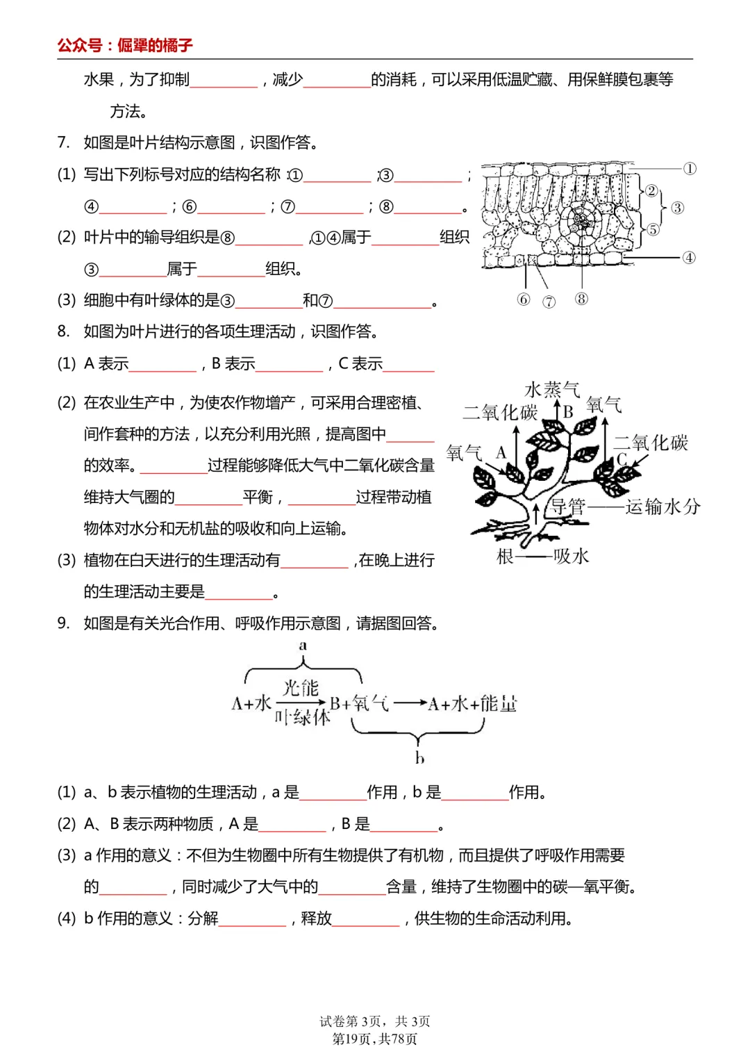2026年最新版中考会考生物知识点18天过关练,文末有完整版可打印,学霸学习好帮手,建议家长打印! 第14张