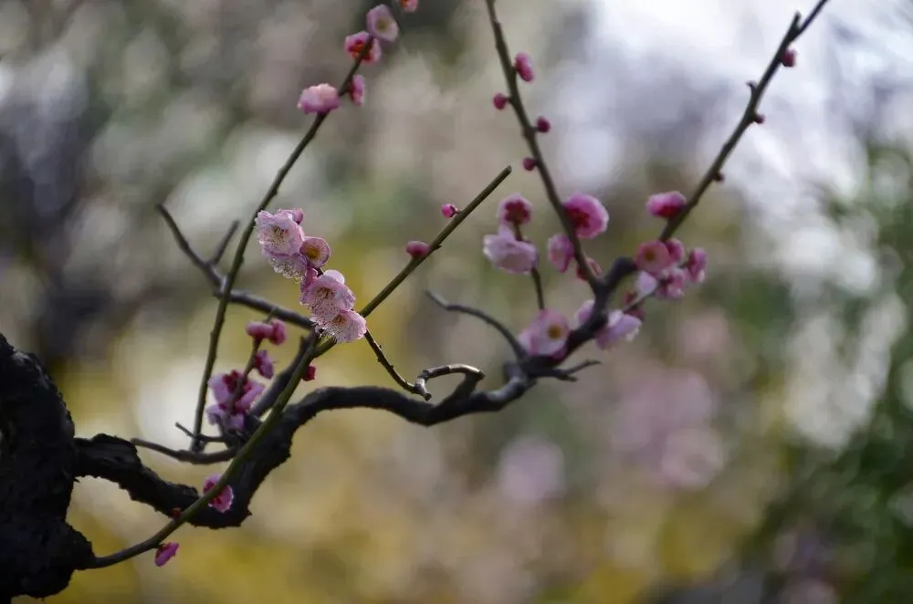 【中考作文之小人物微光】——默默无闻,熠熠生辉 第1张