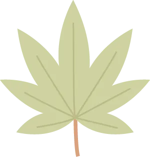 2026年最新中考语文一轮复习—说明文阅读 第01讲 说明对象及特征(课件+讲义+测练) 第2张