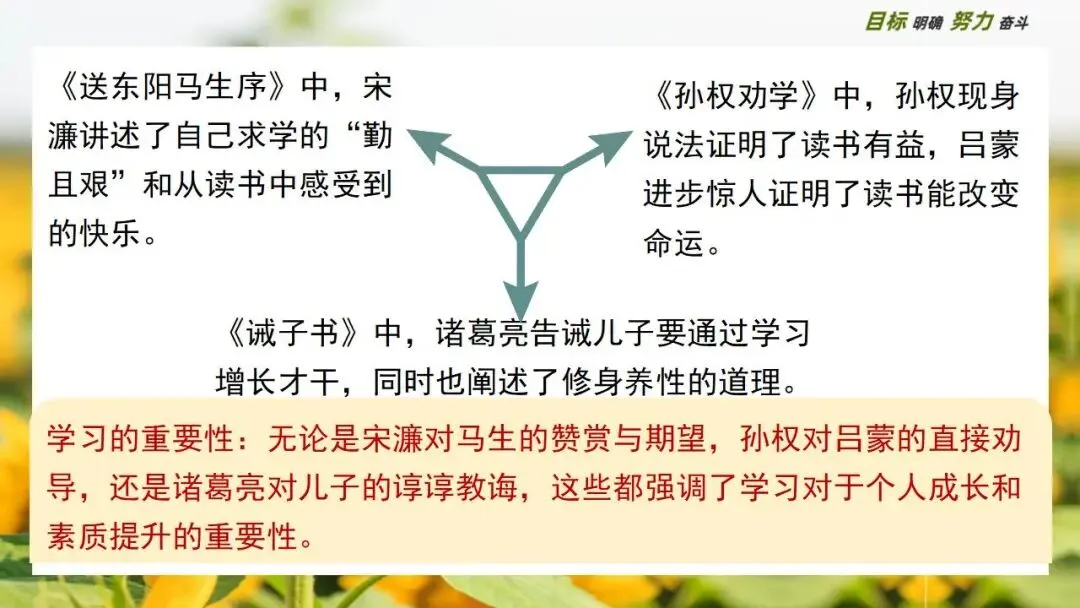 中考大单元复习:破解当代学习困境的千年药方 第19张