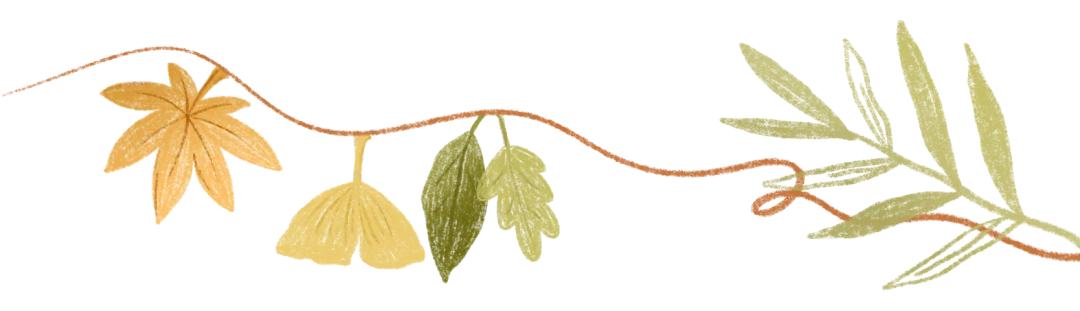 2026中考同源外刊训练,一篇外刊练遍各类题型~(搭配课件哦) 第18张