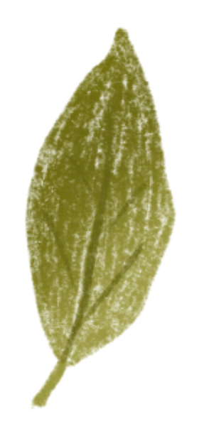 2026中考同源外刊训练,一篇外刊练遍各类题型~(搭配课件哦) 第31张