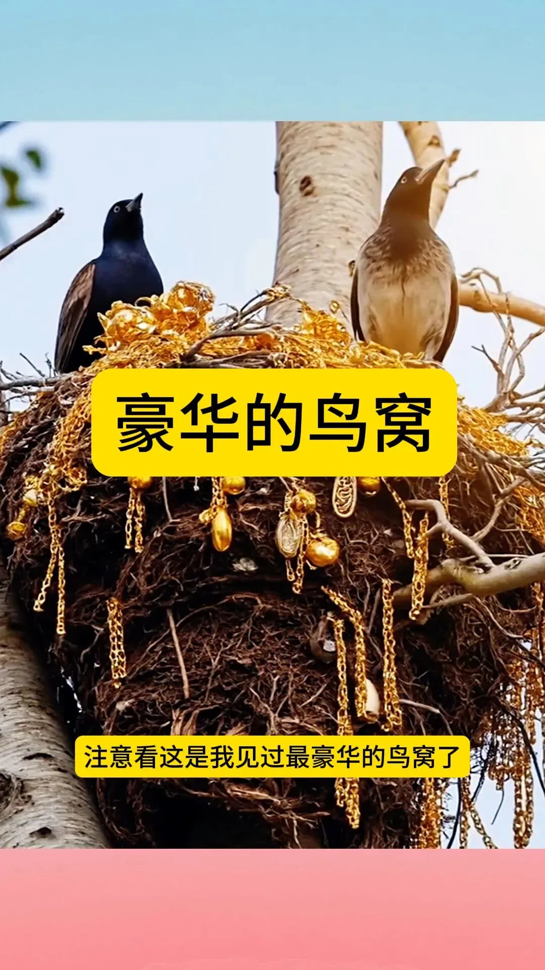 重庆中考英语新题型概要补全练习11 第2张