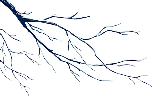 中考必备语法及默写版 第2张