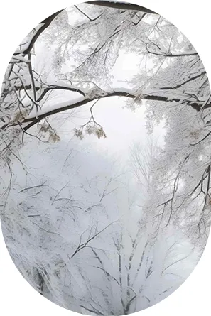 中考必备语法及默写版 第15张