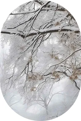 中考必备语法及默写版 第16张