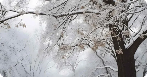 中考必备语法及默写版 第44张