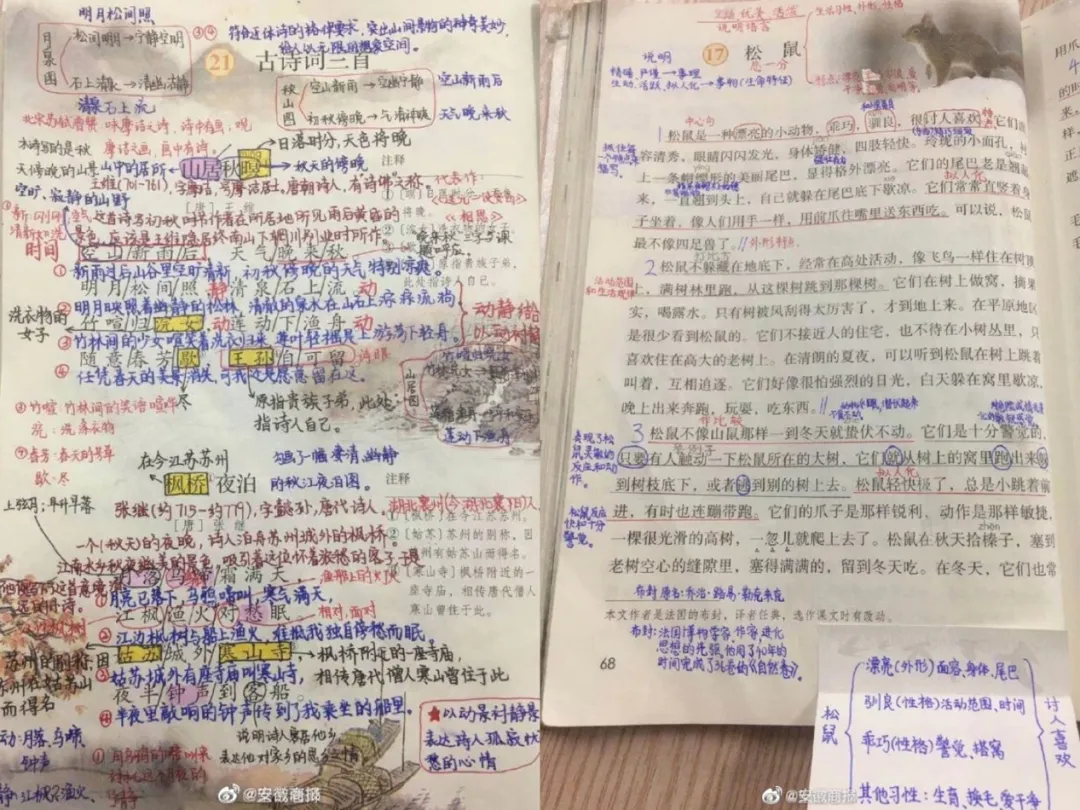 儿子被“中考分流”后,才知道谁在裸泳:快乐教育输了,佛系爸妈败了…… 第1张