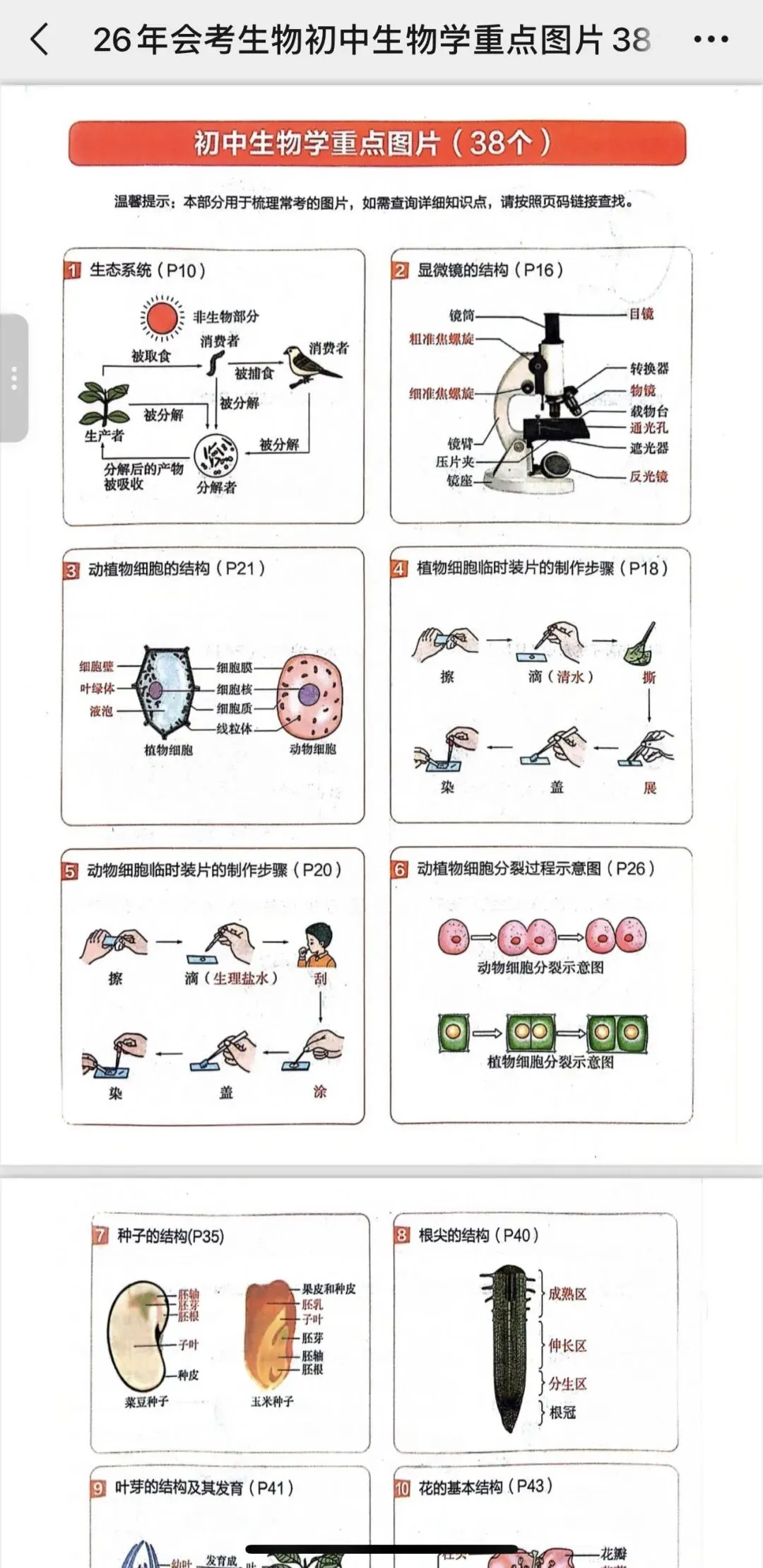 中考必备素材:满分作文,涵盖挫折、成长、亲情、人间美好、传统文化,快来学习打造自己的素材库 第13张