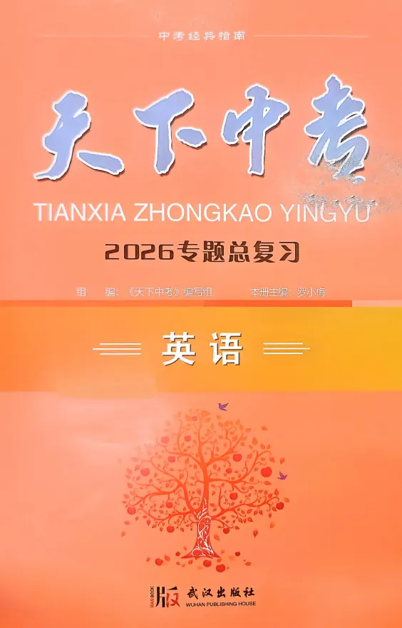 2026春语文、英语《天下中考专题总复习》专题训练 第2张