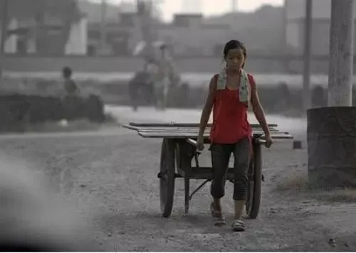 推荐阅读 | 初三学生中考图被父亲晒出,看哭万人! 第15张