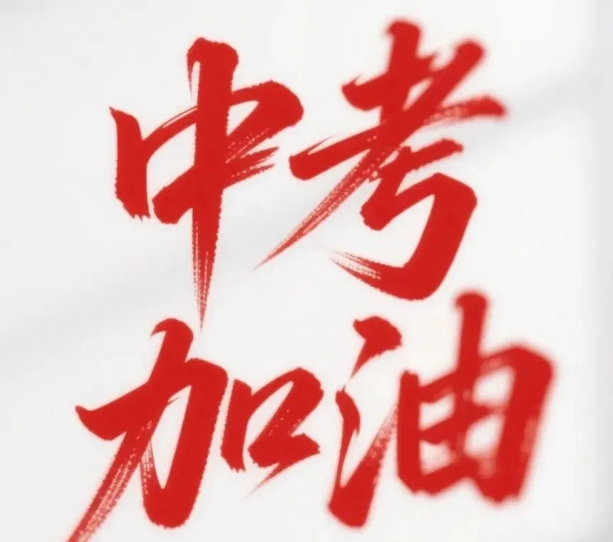 2026年河北省中考备考建议---以2025年河北省中考真题为例 系列二 第2张 2026年河北省中考备考建议---以2025年河北省中考真题为例 系列二 第2张