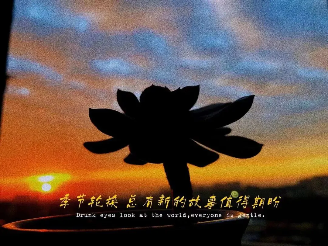 把《悉达多》写进中考成长主题的作文里 第2张