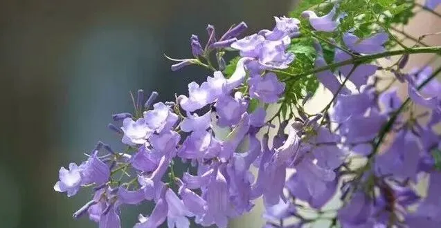 山东省2026年中考统一命题最新情况汇总 第4张