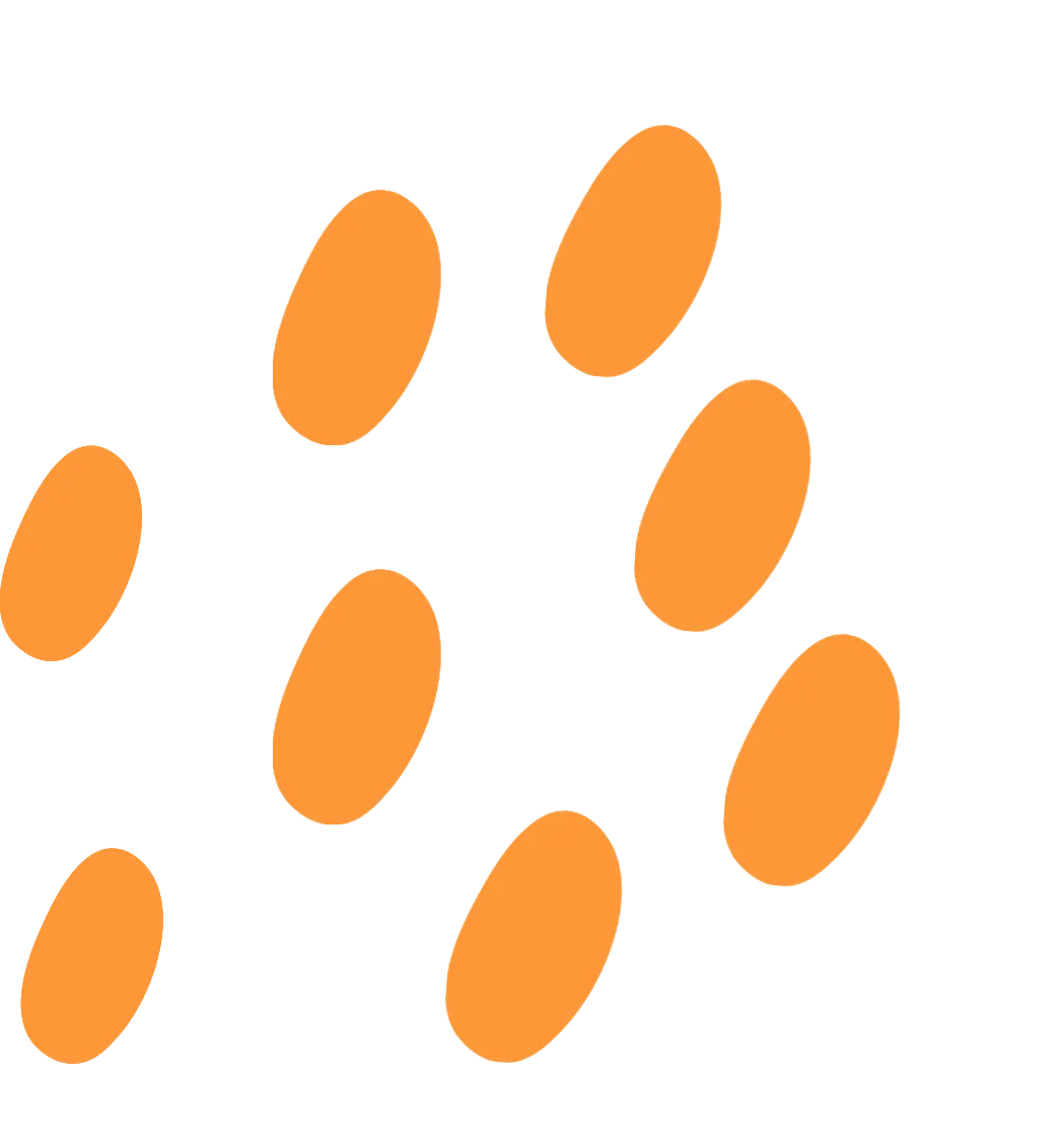 上海中考自招各科考点|语文、英语篇 第26张