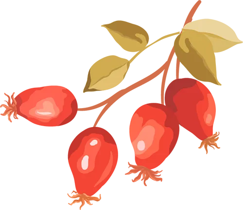 上海中考自招各科考点|语文、英语篇 第29张