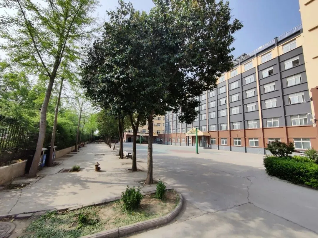 初三关键期,选对赛道逆袭中考! 第6张