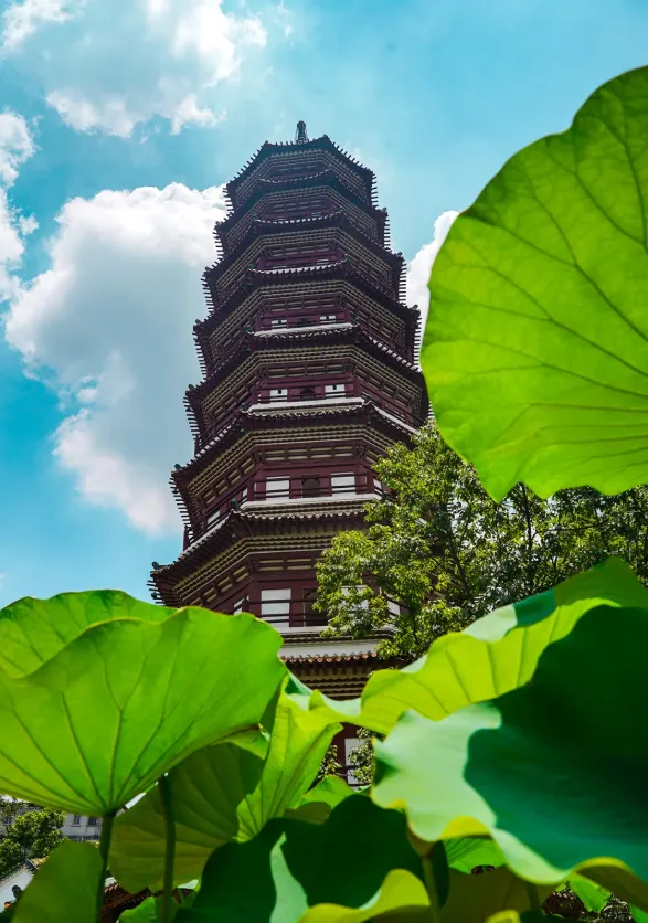 广州中考家长收藏,春节文昌祈福指南! 第6张 广州中考家长收藏,春节文昌祈福指南! 第6张