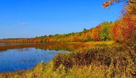 2026中考作文押题,十个题材. 第34张 2026中考作文押题,十个题材. 第34张