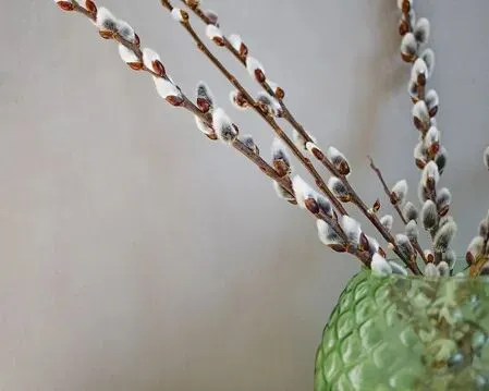 2026中考作文押题,十个题材. 第35张 2026中考作文押题,十个题材. 第35张