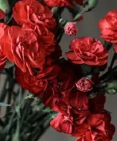 2026中考作文押题,十个题材. 第51张 2026中考作文押题,十个题材. 第51张