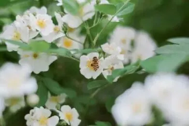 2026中考作文押题,十个题材. 第64张 2026中考作文押题,十个题材. 第64张