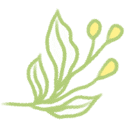 2026中考作文押题,十个题材. 第73张 2026中考作文押题,十个题材. 第73张