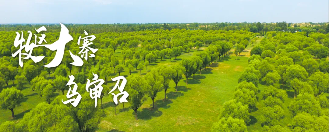 今晚,鄂尔多斯中考查分!查分入口→ 第1张