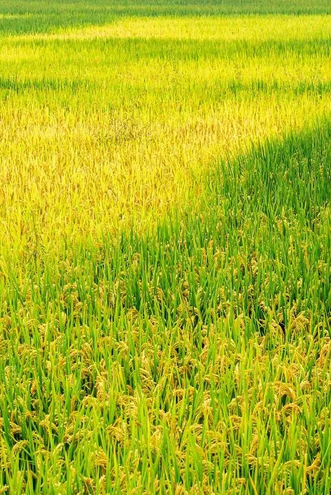 寒假不懒,中考不败 第4张