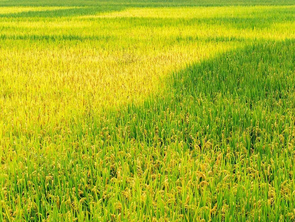 寒假不懒,中考不败 第6张