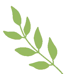 中考化学-常考考点专题-氧气文末附获取方式 第14张 中考化学-常考考点专题-氧气文末附获取方式 第14张