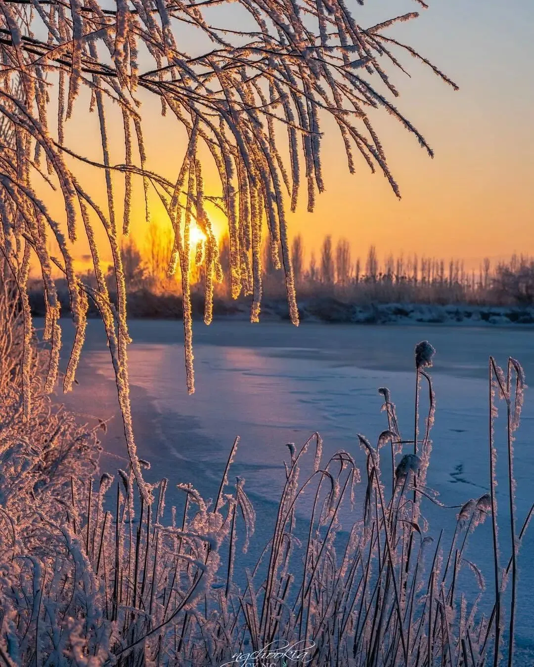 “自然慰藉”“呼吁回归”——2026年中考语文热点作文新趋势 第1张