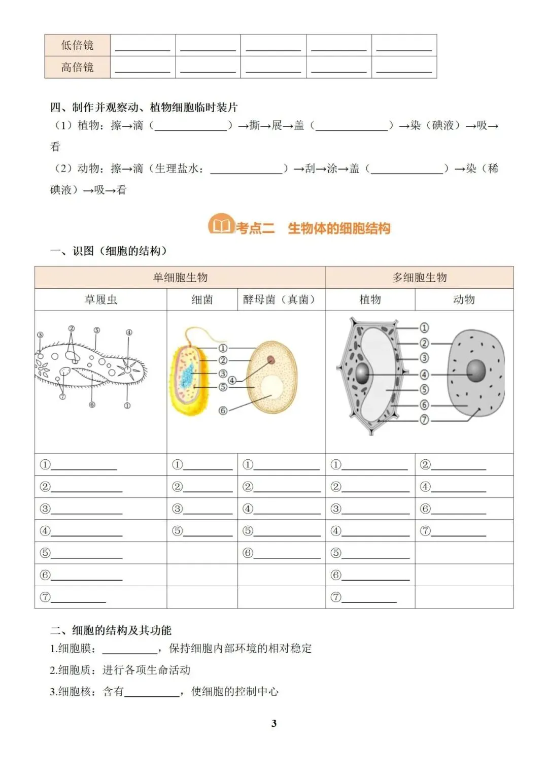 生物 中考总复习专题训练(2025版),可免费下载! 第7张