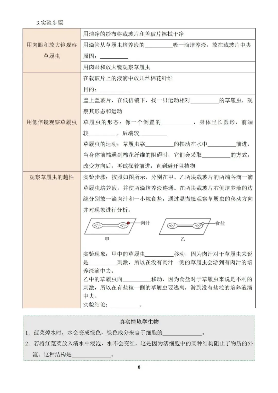 生物 中考总复习专题训练(2025版),可免费下载! 第10张