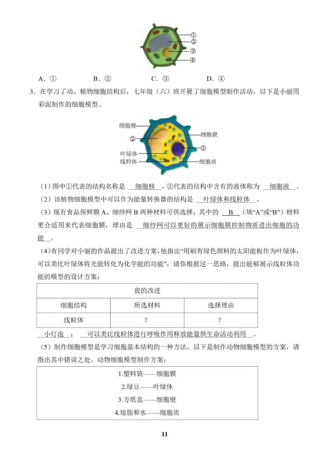 生物 中考总复习专题训练(2025版),可免费下载! 第15张