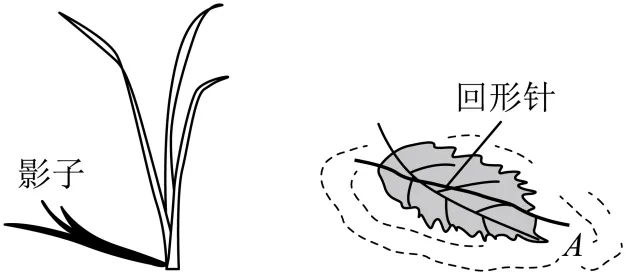 【三年(2023-2025)中考物理真题分类汇编专题26 电与磁(原卷版) 第19张