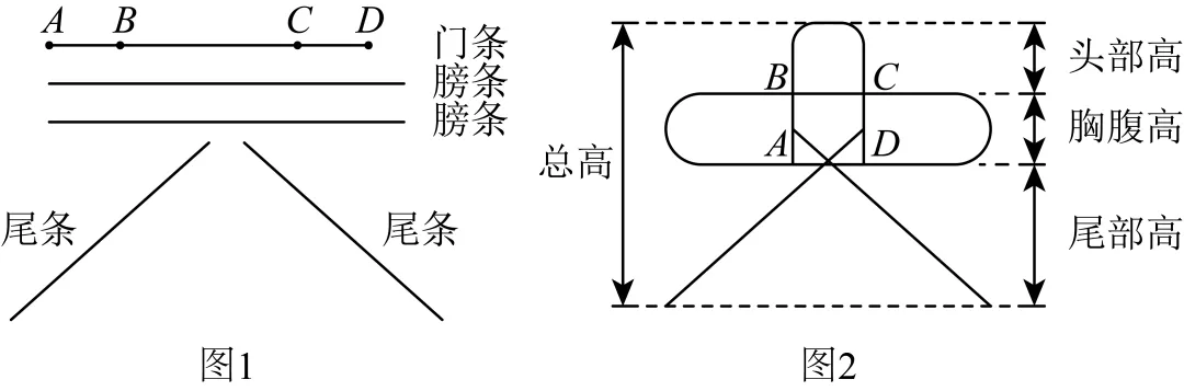 【三年(2023-2025)中考数学真题分类汇编专题05 一元一次方程与二元一次方程组(全国通用)(原卷版) 第3张