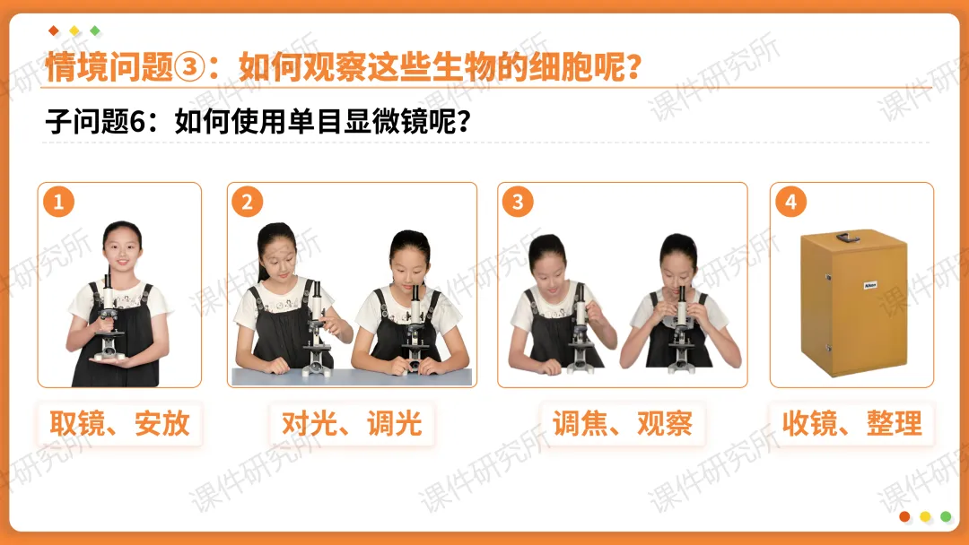 AI赋能生物复习课!——中考生物情境复习《细胞和生物体的结构层次》课件设计“生物编辑招聘”情境,带学生快速进入复习状态!丨自营系列 第13张 AI赋能生物复习课!——中考生物情境复习《细胞和生物体的结构层次》课件设计“生物编辑招聘”情境,带学生快速进入复习状态!丨自营系列 第13张