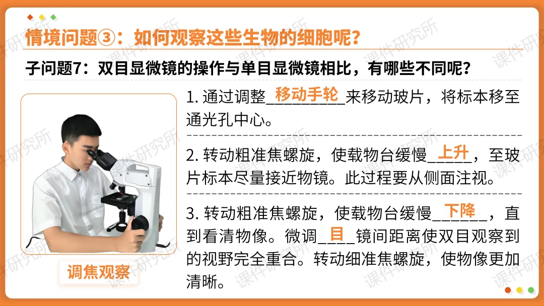 AI赋能生物复习课!——中考生物情境复习《细胞和生物体的结构层次》课件设计“生物编辑招聘”情境,带学生快速进入复习状态!丨自营系列 第16张 AI赋能生物复习课!——中考生物情境复习《细胞和生物体的结构层次》课件设计“生物编辑招聘”情境,带学生快速进入复习状态!丨自营系列 第16张
